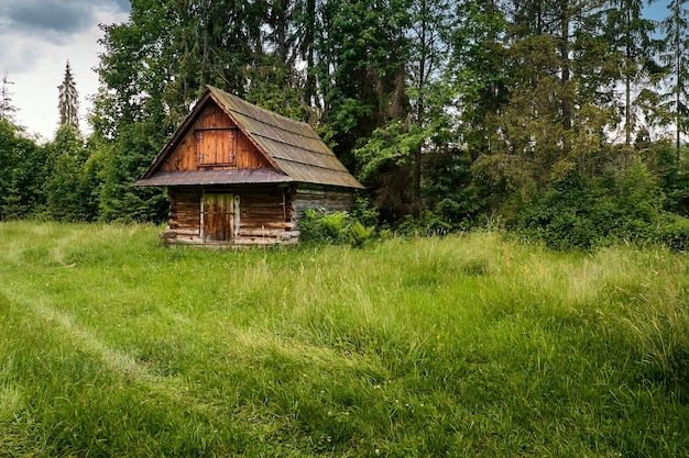 Vecchia capanna di legno nella foresta