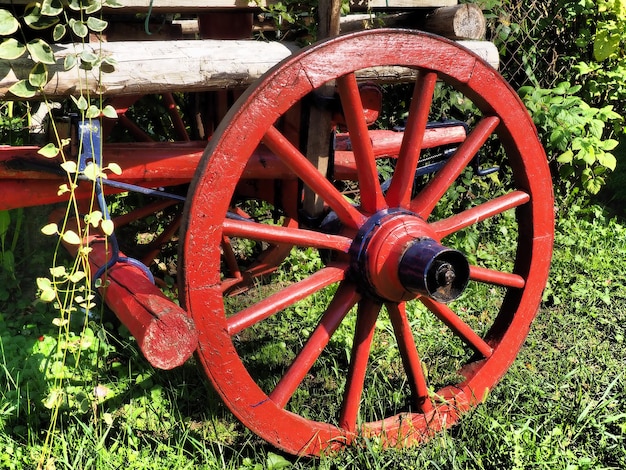 Vecchia carrozza o carro Giornata estiva Tradizionale carrozza rurale trainata da cavalli Il carro è rosso