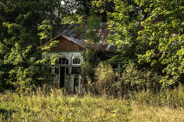 Vecchia casa abbandonata ricoperta di cespugli e alberi
