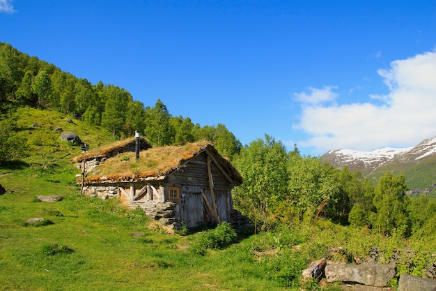 Vecchia casa di legno con tetto in erba in Norvegia