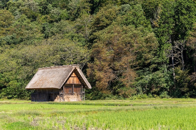 Vecchia casa di legno giapponese tradizionale in foresta