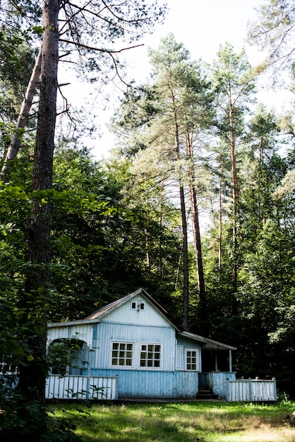 Vecchia casa di legno nel bosco