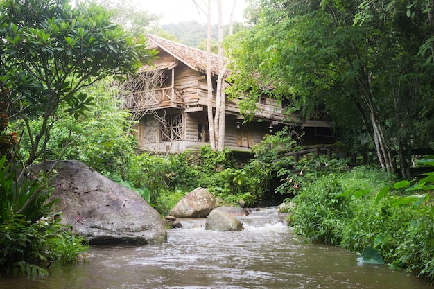 Vecchia casa di legno nella giungla e flusso