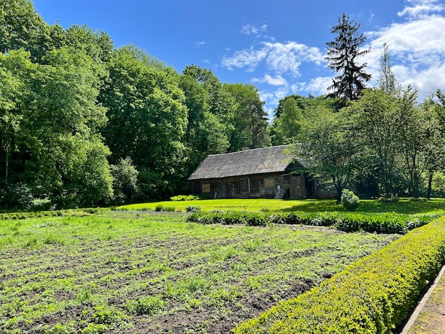 Vecchia casa di villaggio e giardino vegetale nel Giardino Botanico dell'Università di Vilnius