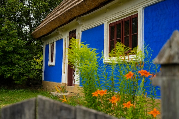 Vecchia casa in natura. Campagna