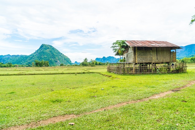 Vecchia casa nei campi a Vang Vieng