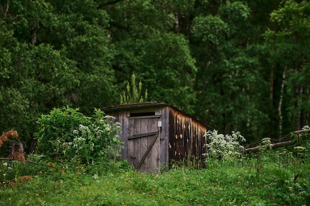 Vecchia casa rurale di campagna in mezzo alla foresta, come le fiabe dei bambini russi. messa a fuoco selettiva.