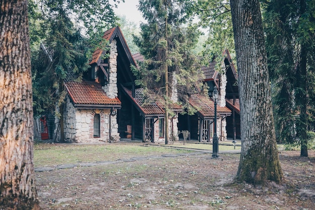 Vecchia casa rurale di campagna in mezzo alla foresta