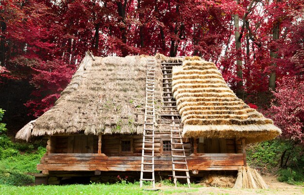 Vecchia casa ucraina tradizionale in skansen