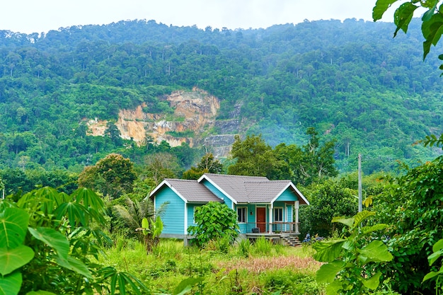 Vecchia dolce casa nella giungla. Campagna nella giungla stretta tropicale.