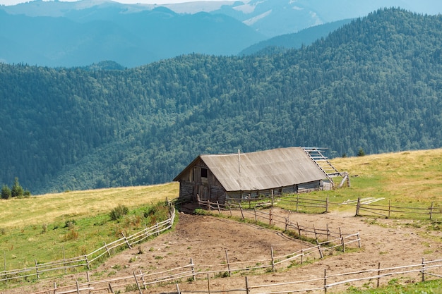 Vecchia fattoria unifamiliare in montagna. Carpazi Ucraina