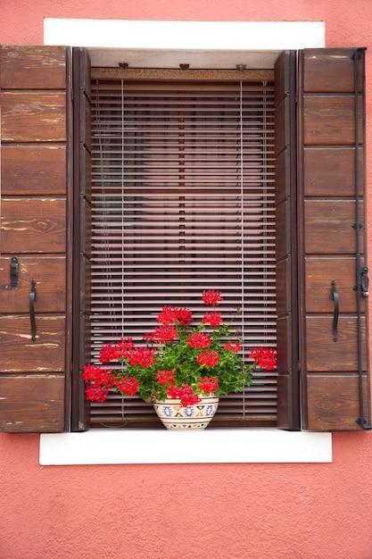 Vecchia finestra europea con fiori e persiane in legno