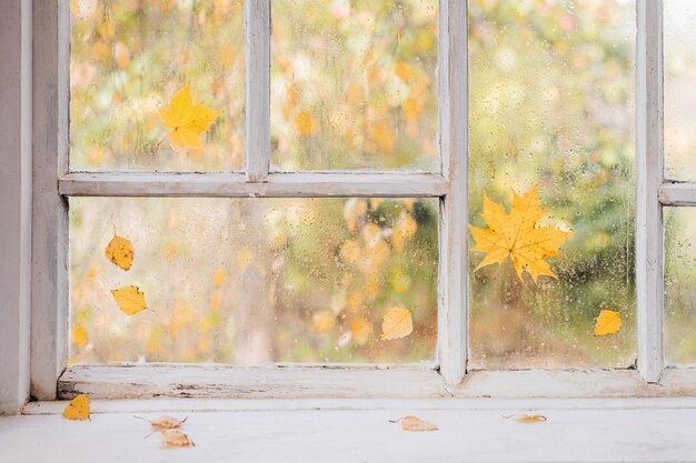 Vecchia finestra in legno bianca con gocce di pioggia e foglie d'autunno