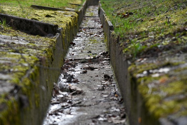 Vecchia fogna pluviale nel parco