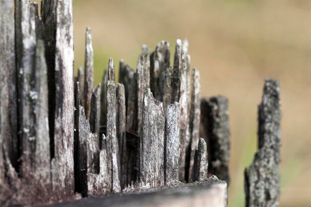 Vecchia frattura del legno