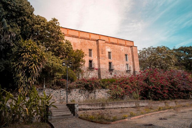 Vecchia hacienda in messico con giardini botanici e muro di pietra in un pomeriggio soleggiato