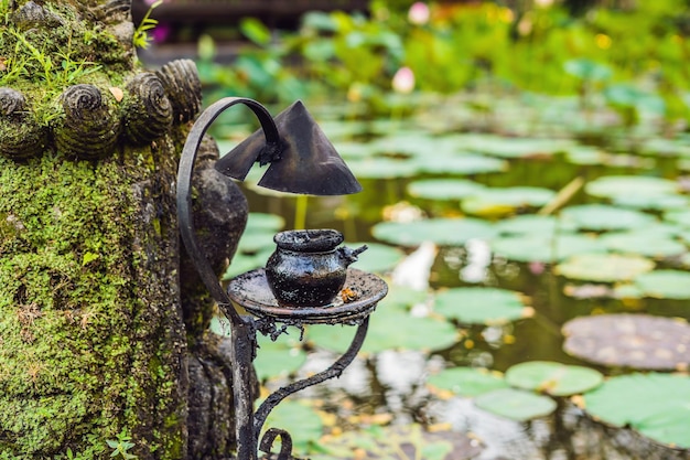 Vecchia lampada a olio sul lago di loto, Bali, Indonesia