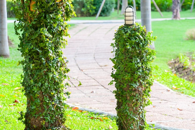 Vecchia lampada nel parco