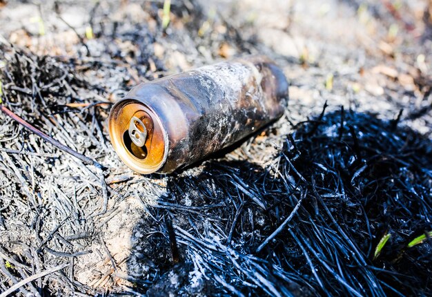 Vecchia lattina sdraiata su un terreno bruciato asciutto Inquinamento ambientale Disastro ecologico Cestino dopo i turisti