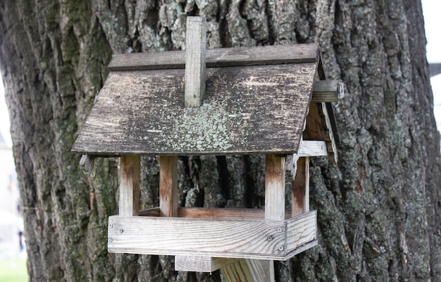 Vecchia mangiatoia per uccelli in legno su un albero