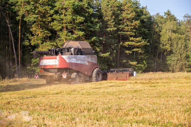 vecchia mietitrebbia raccolti dal campo.