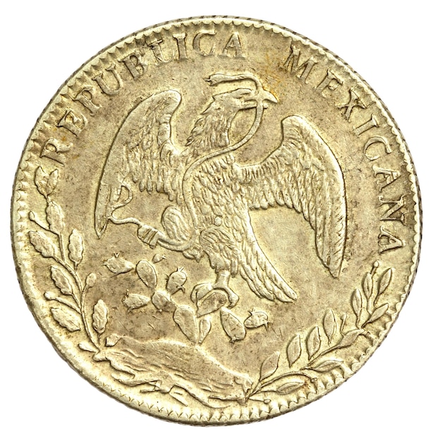 Vecchia moneta di 8 Reales messicani 1885 da vicino