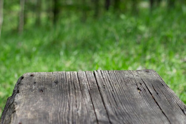 Vecchia panca di legno nel giardino