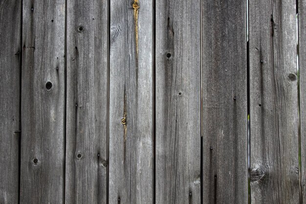 Vecchia parete di legno grezzo Chiodi arrugginiti sporchi del primo piano di struttura