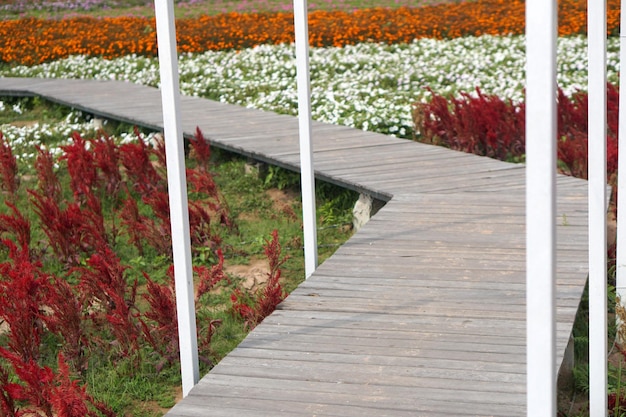 Vecchia passerella in legno per guardare il giardino fiorito