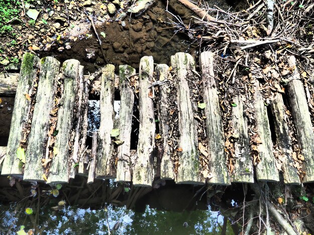 Vecchia passerella in legno Un fatiscente ponte rotondo di tronchi sopra un ruscello forestale Serbia Loznitsa Trshic villaggio strada a piedi fino al monastero di Tronosha