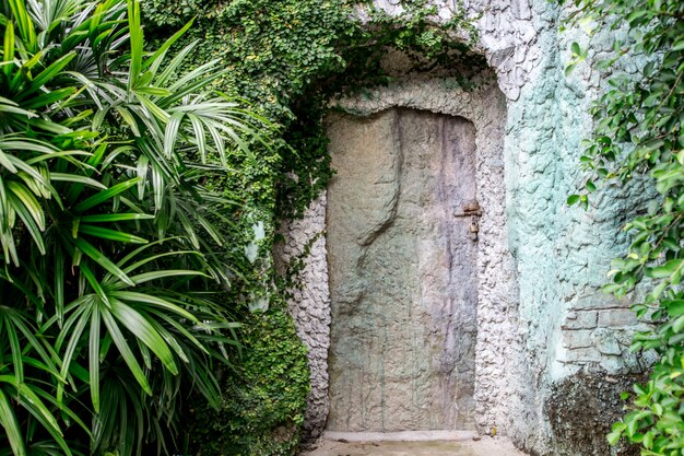 vecchia porta di legno nella roccia