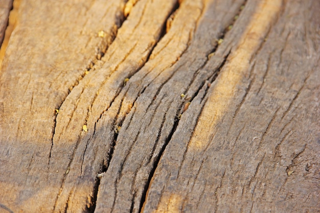 Vecchia priorità bassa di struttura di legno