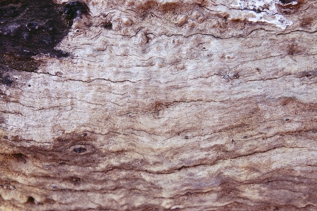 Vecchia priorità bassa di struttura di legno