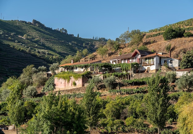 Vecchia Quinta o vigneto sulle rive del fiume Douro in Portogallo