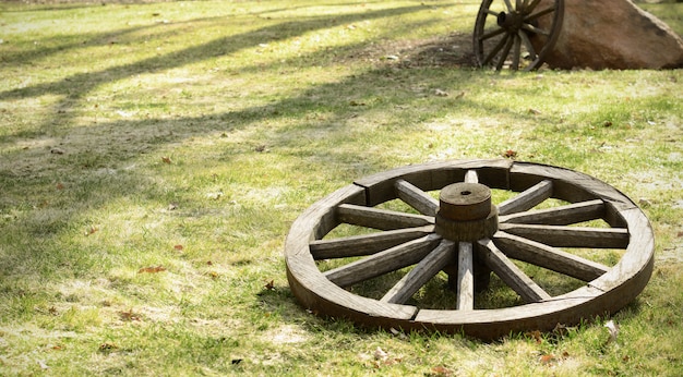 Vecchia ruota di legno sull'erba