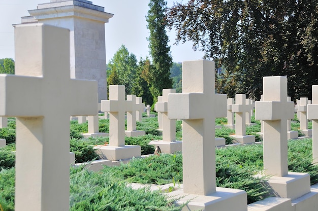 Vecchia statua nel cimitero di Lychakiv a Lviv Ucraina