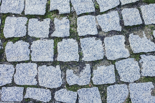 Vecchia strada di pietra