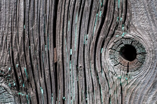 Vecchia struttura di legno della priorità bassa