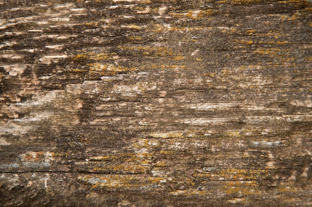 Vecchia struttura di legno stagionato