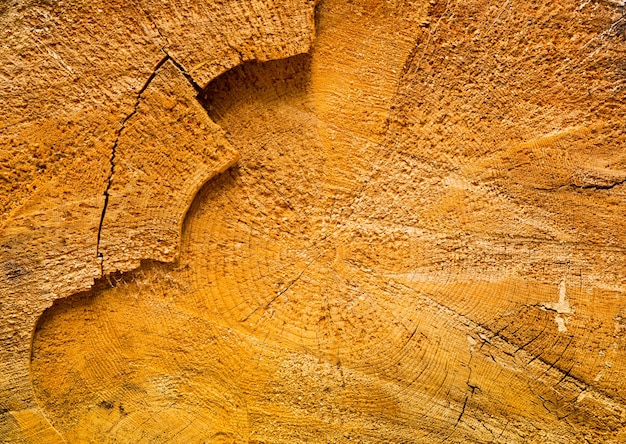 Vecchia struttura in legno, colori marroni