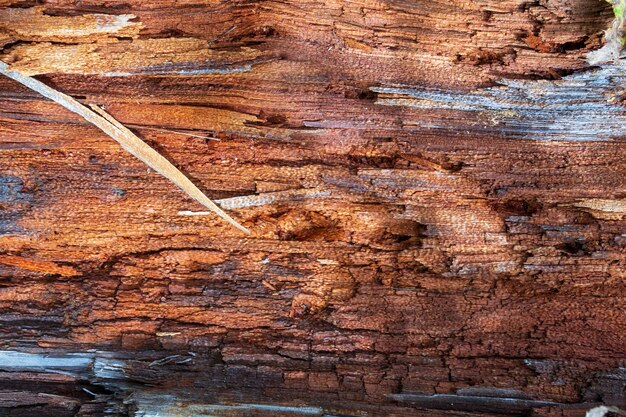 Vecchia struttura incrinata di legno