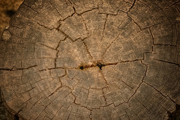 Vecchia superficie, fondo e struttura del taglio di legno