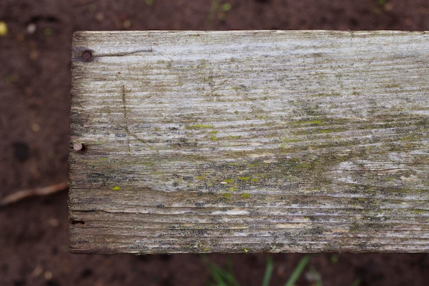 vecchia tavola di legno con licheni e chiodi arrugginiti come sfondo grigio