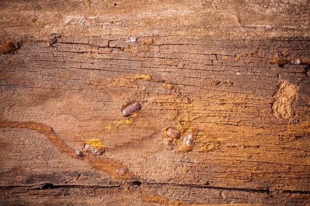 Vecchia tavola di legno marrone di struttura del fondo.