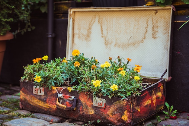 Vecchia valigia con fiori