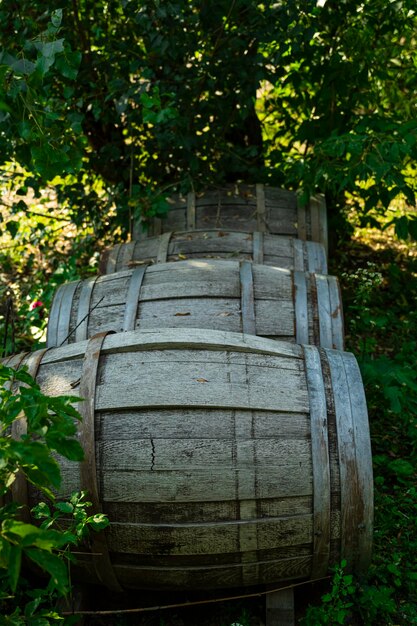 Vecchie botti di legno di quercia sulla strada