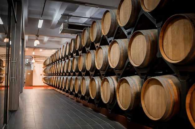 Vecchie botti di legno tradizionali con vino in una volta allineate in una cantina fresca e buia in Italia Porto Portugal Francia
