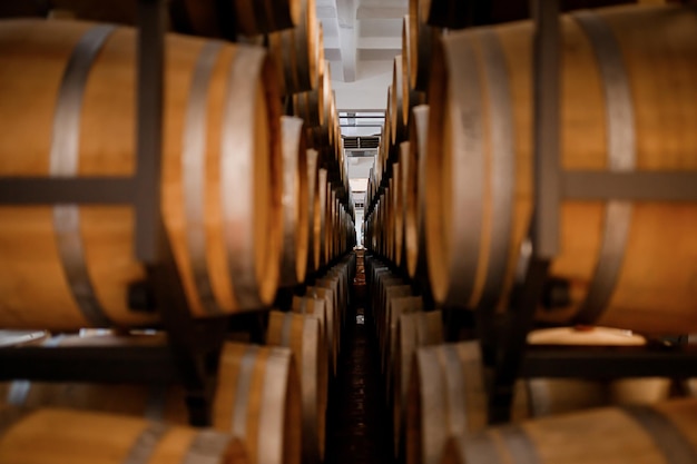 Vecchie botti di legno tradizionali invecchiate con vino in una volta allineata in una cantina fresca e buia in Italia Porto Portogallo Francia