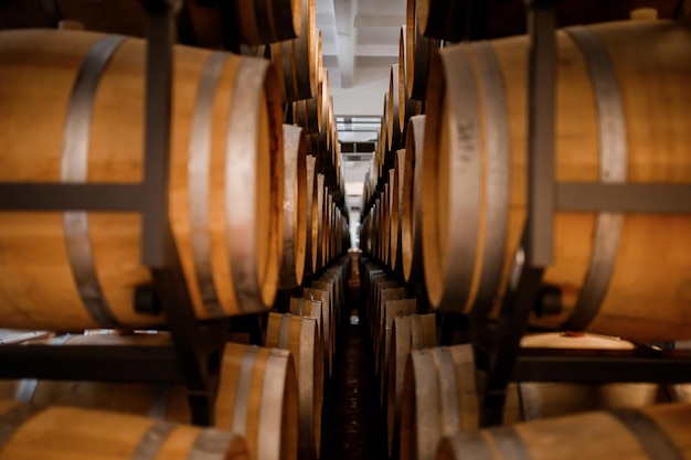 Vecchie botti di legno tradizionali invecchiate con vino in una volta allineata in una cantina fresca e buia in Italia Porto Portogallo Francia