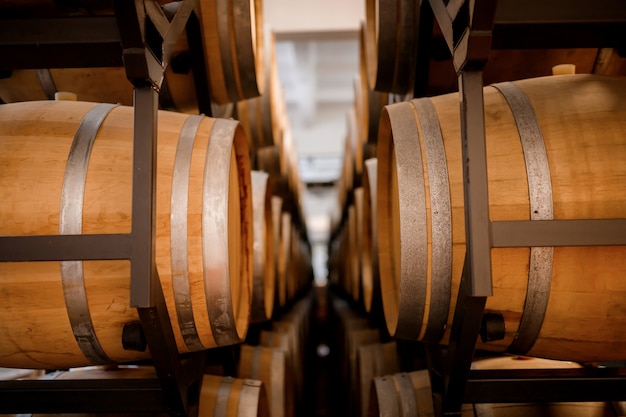 Vecchie botti di legno tradizionali invecchiate con vino in una volta allineate in cantina fresca e buia in Italia, Porto, Portogallo, France